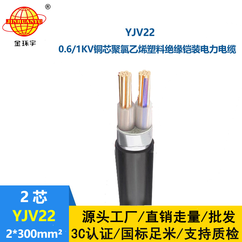 金環(huán)宇電線電纜 二芯電力電纜 YJV22 2X300平方 銅芯 地埋鎧裝電纜