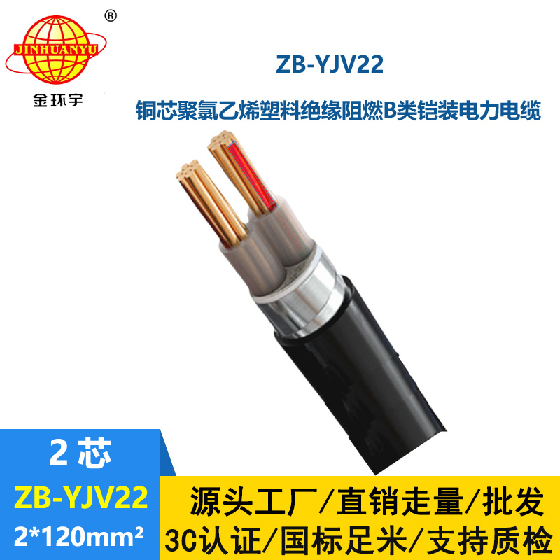 金環(huán)宇電纜 2芯鎧裝電纜 深圳阻燃鎧裝電纜ZB-YJV22-2X120平方