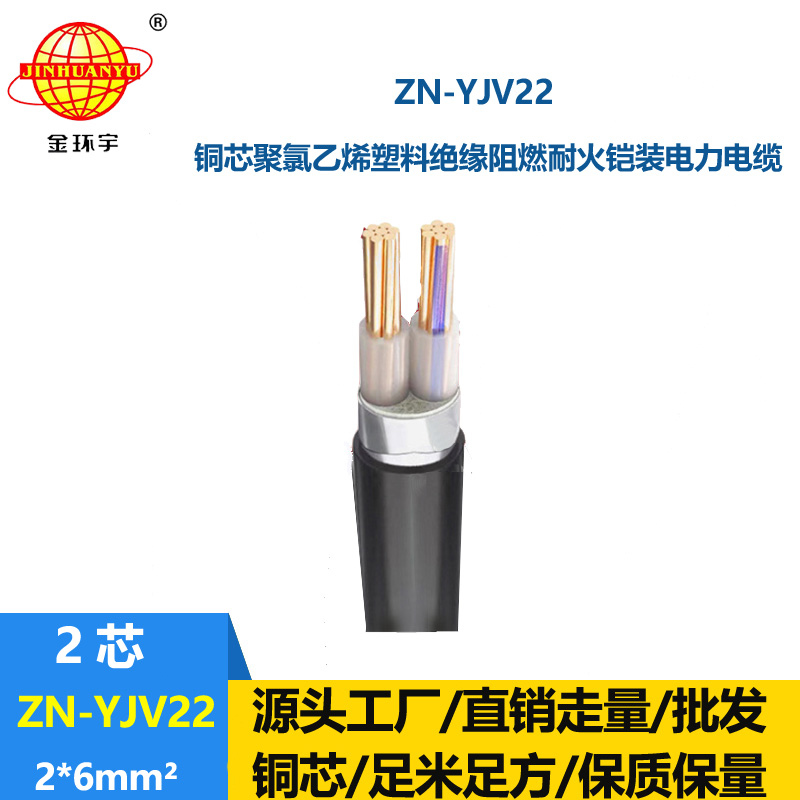 金環(huán)宇電纜 阻燃耐火電線電纜yjv22鎧裝電力電纜ZN-YJV22-2X6  足米
