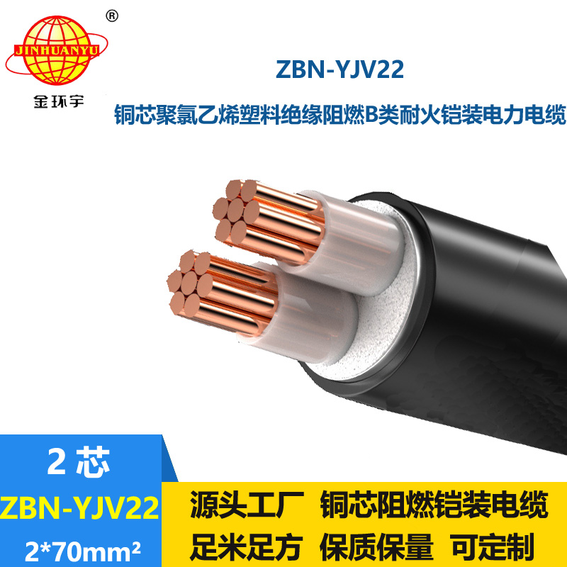 金環(huán)宇電線電纜 yjv22電纜ZBN-YJV22-2X70平方 B級(jí)阻燃耐火鎧裝電纜
