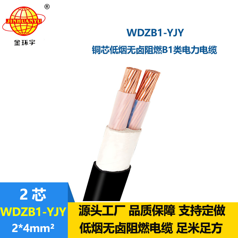 金環(huán)宇電線電纜 無鹵低煙阻燃B1類電力電纜WDZB1-YJY 2X4平方 銅芯